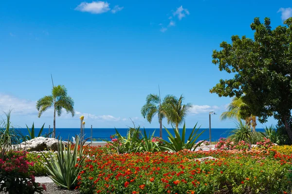 Dream travel vacation destination all year - Carribean islands, blue sea