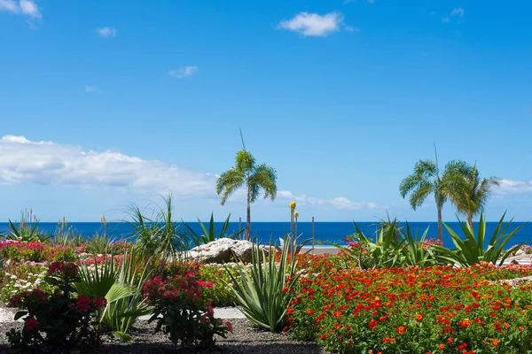 Dream travel destination all year - Carribean islands, blue sea