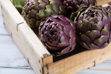 Taze büyük Romanesco enginar yeşil-mor çiçek başları 