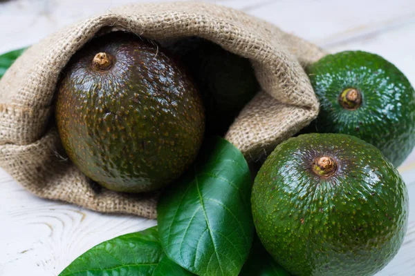 Abacate verde maduro de plantação de abacate orgânico - comida saudável — Fotografia de Stock