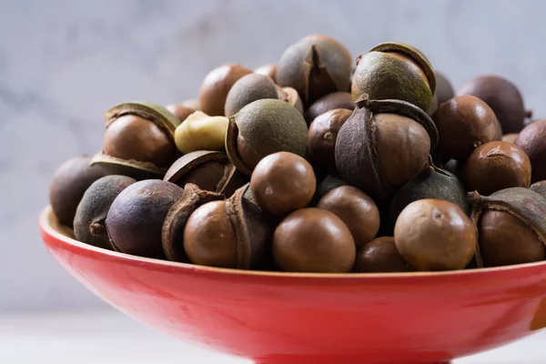 Macadamia fıstığı hasat yakın çekim — Stok fotoğraf