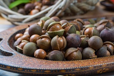 Macadamia fıstığı hasat yakın çekim