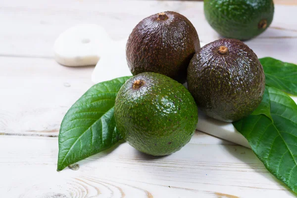 Organik avokado saç ekimi - sağlıklı foo dan yeşil olgun avokado — Stok fotoğraf