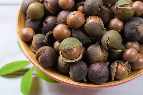 Macadamia fıstığı hasat yakın çekim — Stok fotoğraf