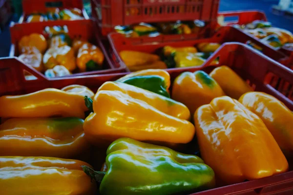 Pimentos frescos de páprica amarela em caixas em todo o mercado de venda — Fotografia de Stock