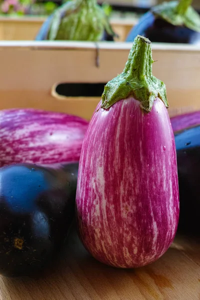 Berenjenas de diferentes colores y variedades sobre la mesa — Foto de Stock