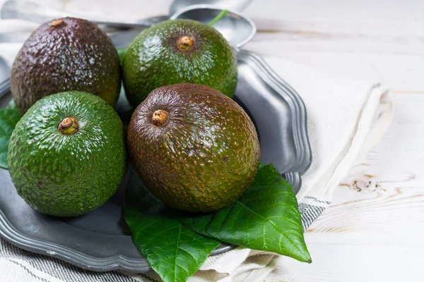 Green Fresh Avocado Organic Avocado Plantation Healthy Food — Stock Photo, Image