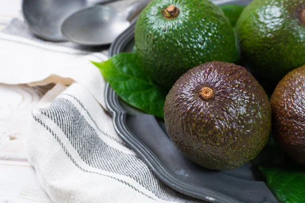有機アボガド農園 健康食品から緑の新鮮なアボカド — ストック写真