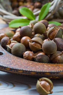 Macadamia fıstığı hasat yakın çekim