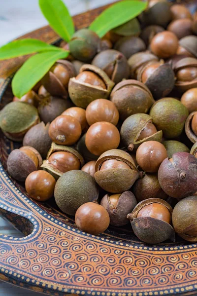 Cosecha de nueces de macadamia de cerca — Foto de Stock