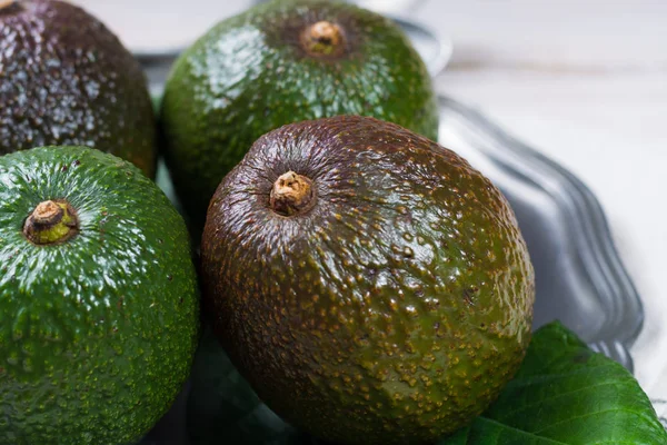 Groene Verse Avocado Uit Biologische Avocado Plantage Gezonde Voeding — Stockfoto