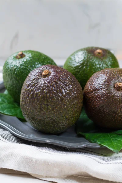 Green Fresh Avocado Organic Avocado Plantation Healthy Food — Stock Photo, Image