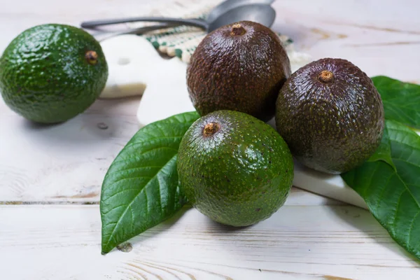 Grön Färsk Avokado Från Ekologisk Avokado Plantation Hälsosam Mat — Stockfoto