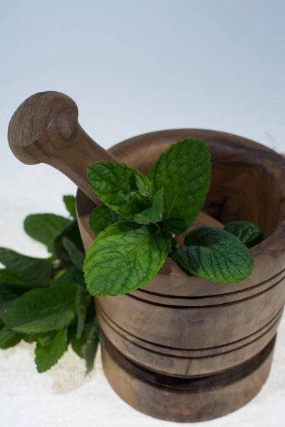 Fresh Green Mint Olive Wood Mortar — Stock Photo, Image