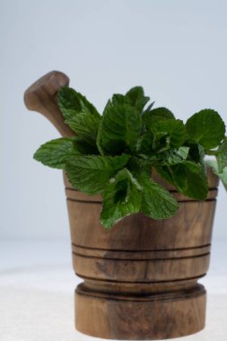 Zeytin ahşap harç - kullanıma hazır taze yeşil nane