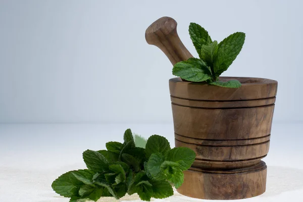 Fresh Green Mint Olive Wood Mortar — Stock Photo, Image