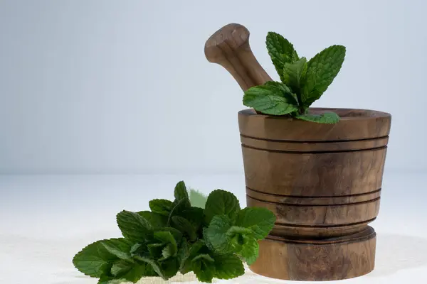 Fresh green mint in olive wood mortar - ready to use — Stock Photo, Image