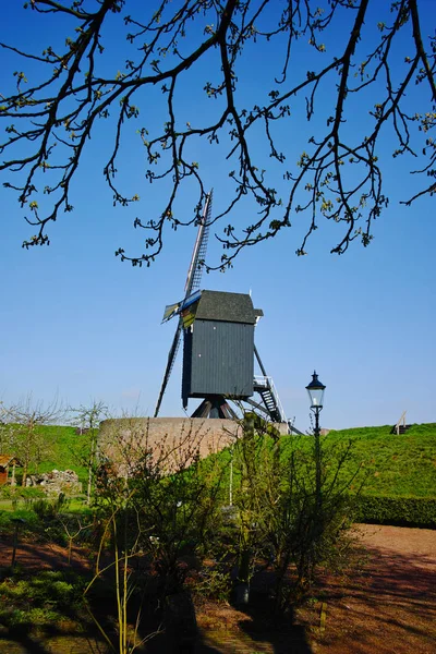 Old windmill in Netherlands, spring season — Stock Photo, Image