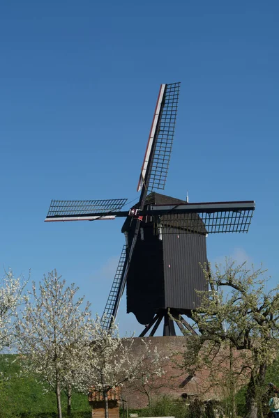 Gammal väderkvarn i Nederländerna, vårsäsongen — Stockfoto