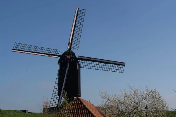 Vanha tuulimylly Alankomaissa, kevätkausi — kuvapankkivalokuva