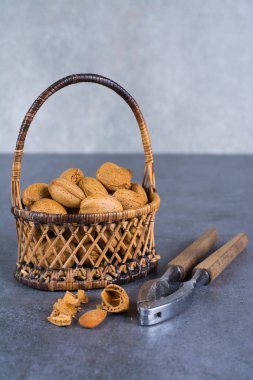 Badem fındık kabuğu ile fındık chaker gri beton backgrun üzerinde