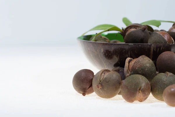 Noci di macadamia in guscio, nuovo raccolto da vicino, spazio di copia — Foto Stock