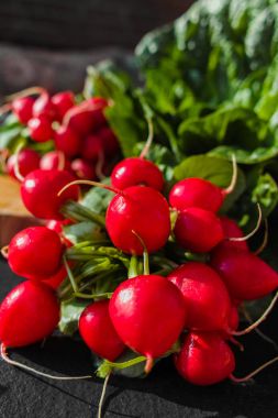 Yeşil romaine marul kaynak vitamin