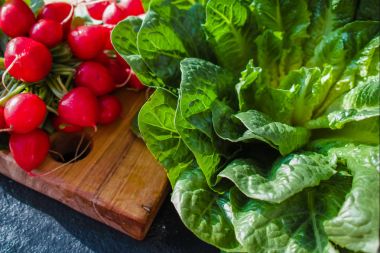 Yeşil romaine marul kaynak vitamin