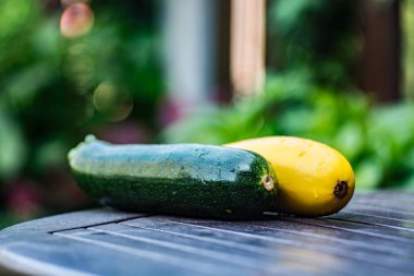 Organik avokado saç ekimi - sağlıklı foo dan yeşil olgun avokado