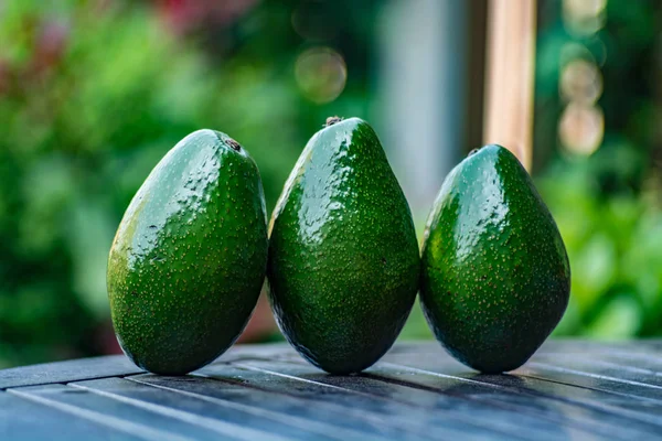 Gröna mogna avokado från ekologisk avokado plantation - friska foo — Stockfoto