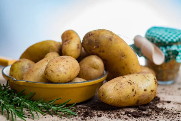 Новый урожай - молодая сырая органическая картошка сырой — стоковое фото