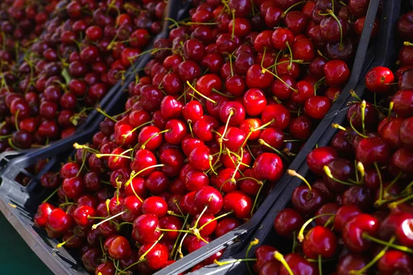 Nuova vendemmia di ciliegie rosse fresche mature, mercato di strada in Italia — Foto Stock