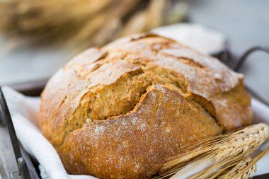Taze pişmiş geleneksel kepekli ekmek ve buğday kulaklar 