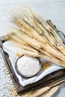 Organik maddeler kursları - ekmek veya makarna un, buğday kulaklar 