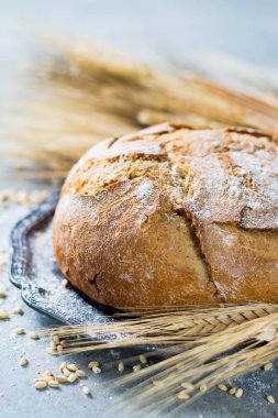 Taze pişmiş geleneksel kepekli ekmek ve buğday kulaklar 