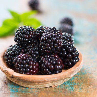 Taze yaz vahşi böğürtlen yaprakları ile