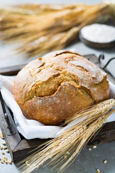 Pain de blé traditionnel fraîchement cuit et épis de blé — Photo