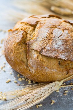 Taze pişmiş geleneksel kepekli ekmek ve buğday kulaklar 