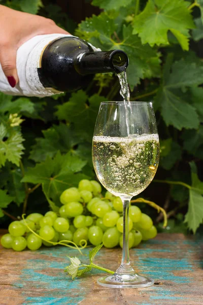 Servitören hälla ett glas is kallt vitt vin, uteservering, — Stockfoto