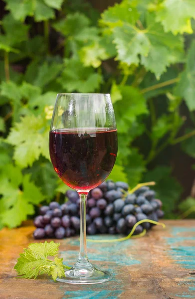 Weinglas mit Rotwein, Außenterrasse, Weinprobe im sonnigen — Stockfoto