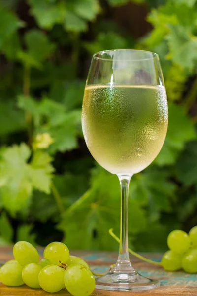 Weinglas mit eiskaltem Weißwein, Außenterrasse, Weinverkostung — Stockfoto