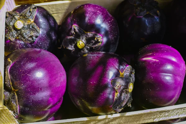 Bola de berenjena violeta, verduras frescas y saludables . — Foto de Stock