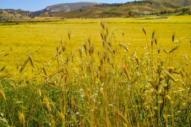 Orta Sicilya tepeler ve alanları ile deniz arasında peyzaj
