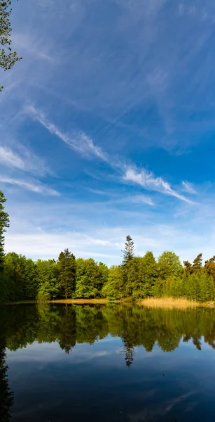 Reflejo de los árboles en el lago del bosque — Foto de Stock