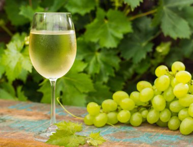 Buz gibi beyaz şarap, açık hava Teras, şarap tasti Şarap kadehi