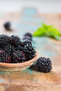 Taze yaz vahşi böğürtlen yaprakları ile