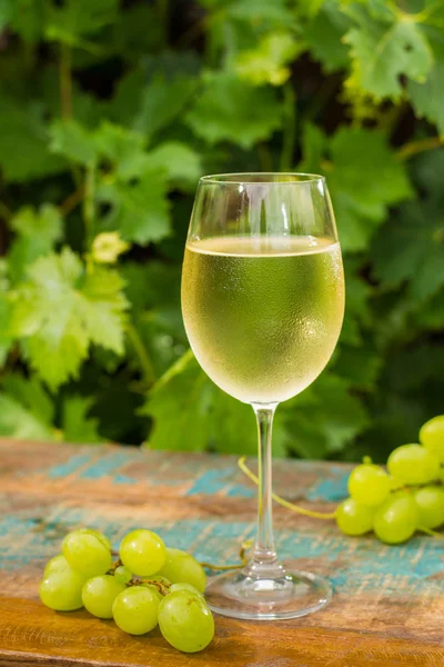 Wijnglas met ijskoude witte wijn, een terras, een wijn tasti — Stockfoto