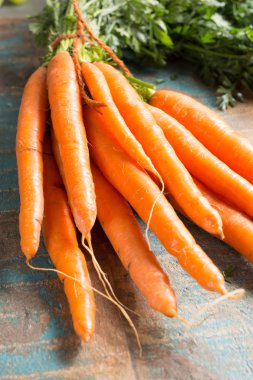 Bahçeden taze grup havuç