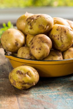 Yeni hasat, taze patates, yemek hazır