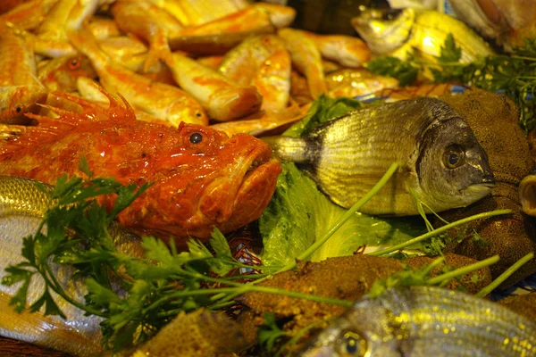 Frischer Roher Fisch Aus Der Ägäis Sizilien Zum Kochen Auf — Stockfoto